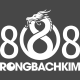 Rồng Bạch Kim 888 avatar