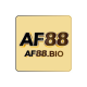 Af88bio avatar