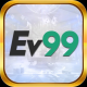 ev99llc avatar