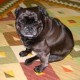User photo