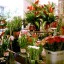 montreal florist