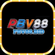 Pbv88 avatar