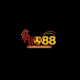 Alo88 avatar