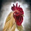 Аватар пользователя Rooster avatar
