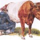 boerin zonder naam
