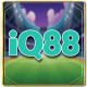 IQ88  Nhà Cái Cá Cược Trực Tuyến avatar