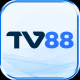 TV Itelvn avatar