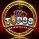 casa de apostas top88 avatar