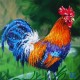 Аватар пользователя Coq avatar