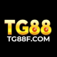 TG88 avatar