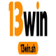 13Win avatar