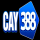 CAY388 avatar