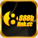 888blinkcom avatar