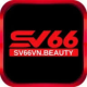 SV66jpn avatar