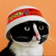 corpix's avatar