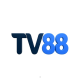 tv88bz avatar