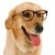reedog117's avatar