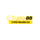Tydo88 cvpofrauench avatar