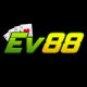 Ev88vn avatar