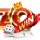 Zowinred avatar