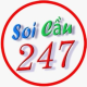Soi cầu 247 avatar