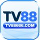 tv88666com avatar