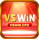 vswincfd