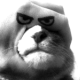 Denis Zheleztsov's avatar