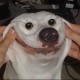 user1765464 Avatar