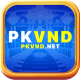 pkvndnet