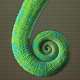 Nicolas Rochard's avatar