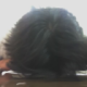 Platonius Avatar