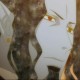 chocobn69 Avatar