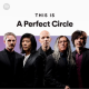 Profile picture of A Perfect Circle Merch