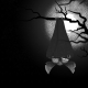 fledervie