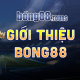 infobong88tours