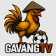 GavangTV's user avatar