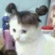 realwoopee Avatar