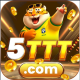5tttbet