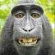 SumOfDavid Avatar