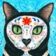 user avatar image for Carrie Hawks Tigerpixie