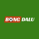 kqbdbongdalu1