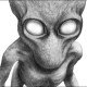Default Avatar