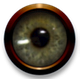 ramavarsh Avatar