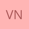 V Nik profile picture