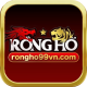 rongho99vncom