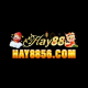 hay8856com