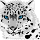 Profile picture of Farhiya Kenya