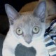 MrMortales Avatar