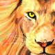 Avatar de paulopr7